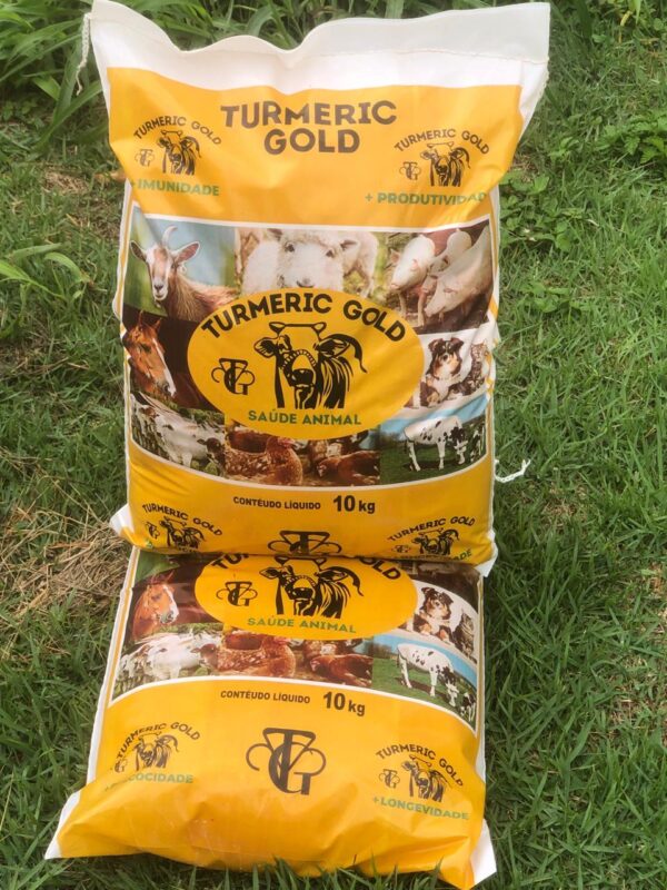 Turmeric Gold 10 KG - Imagem 3