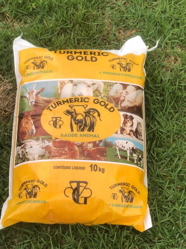 Turmeric Gold 10 KG